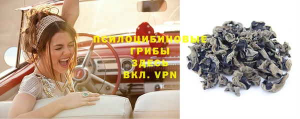трава Каменка